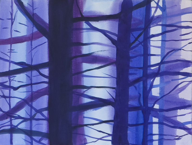 Dark Forest 2