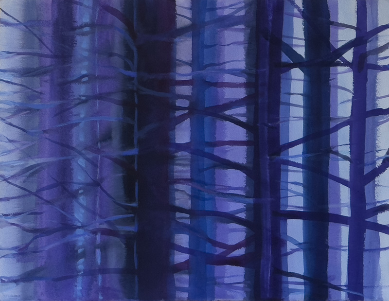 Dark Forest